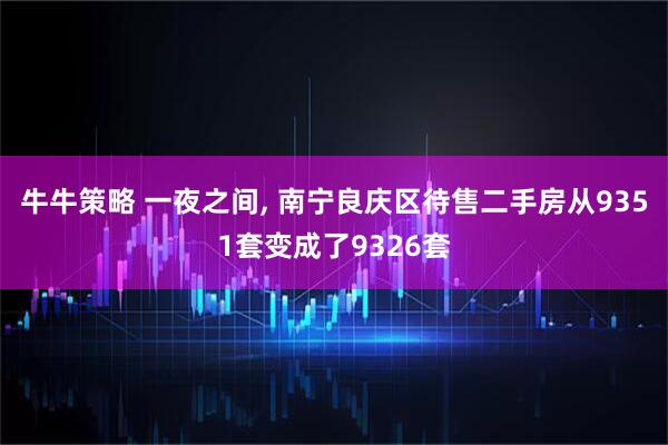 牛牛策略 一夜之间, 南宁良庆区待售二手房从9351套变成了9326套